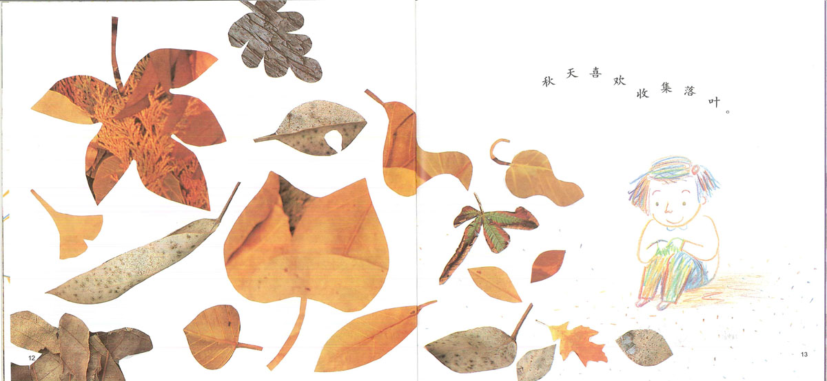收集东收集西 (07),绘本,绘本故事,绘本阅读,故事书,童书,图画书,课外阅读